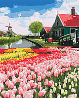 Картина по номерам Brushme Голландская провинция BS52716 40х50см набор для росписи по цифрам