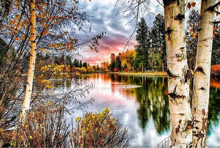 Алмазна вишивка Закот біля річки в лісі, фото 1