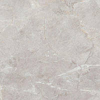 Плитка Allore Group Perfecto Silver F P Nr Mat 470Х470