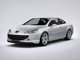 Peugeot 407 (2004-2010)