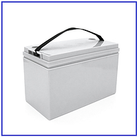 Корпус для акумуляторної батареї NP12100 318х160х185 мм всередині корпусу