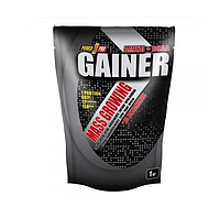 Гейнер Power Pro Gainer 1000g  Power Pro (Style) (1089-4820214004184)