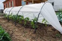 Парник 6м 42 г/м2 "Агро-Старт" для розсади овочів, дачна розбірна теплиця з спанбонду