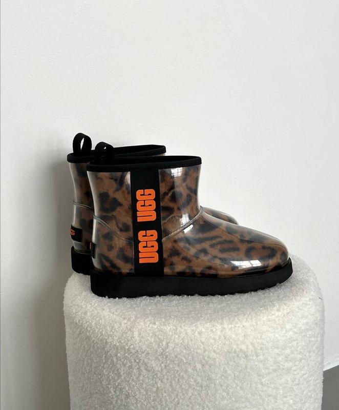 Жіночі угги UGG Classic Clear Mini Leopard ALL14519