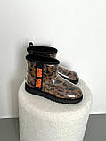 Жіночі угги UGG Classic Clear Mini Leopard ALL14519, фото 3