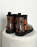 Жіночі угги UGG Classic Clear Mini Leopard ALL14519, фото 10