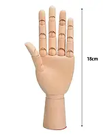 Деревянная рука манекен 18 см, левая