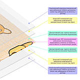 Дитячий складаний розвиваючий термокилимок 150х200х1см "Породи собак | Цуценята" (274) SW-00001313, фото 6