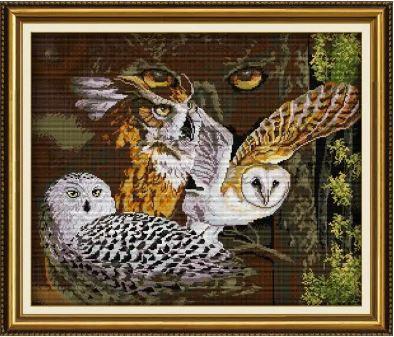 Набір для вишивання за нанесеною на канву схемою "Owl 11". AIDA 14CT printed 55*48 см