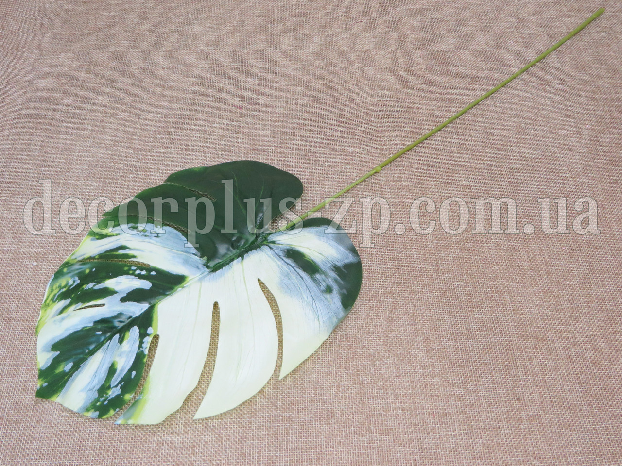 Лист монстери 57см, біло-зелений, фото 1