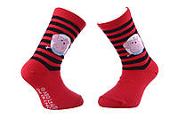 Шкарпетки PEPPA PIG GEORGE ET RAYURES червоний Діт 19-22 арт 43849551-4