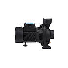 Насос поверхневий поливальний Pumpman TGA1C Hmax 15 м Qmax 30 куб.м 2" 750 Вт, фото 3