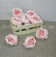 Головка троянди "Ешлі" 6см, рожеві