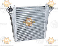 Радиатор интеркулера (ОНВ) КамАЗ 6520 (пр-во Luzar Завод) ЗЕ 44459