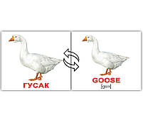 Подарунковий набір Картки Домана Англо-українська валіза Вундеркінд з пелюшок 33 набори 1386 карток методичка, фото 3