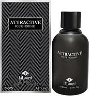 Туалетная вода мужская Attractive 100ml