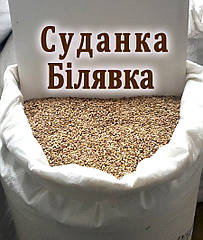 Насіння Суданської трави Білявка (суданка біла) від 1 кг