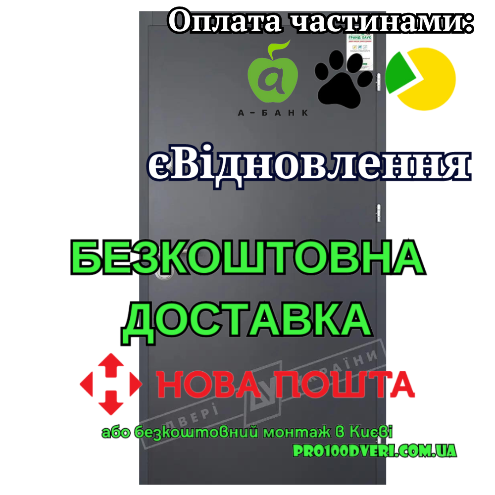 Вхідні двері з терморозривом модель ФЛЕШ серія GRAND HOUSE 56 mm, Двері України