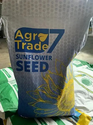 Насіння соняшнику Каскара (під Гранстар), фото 1