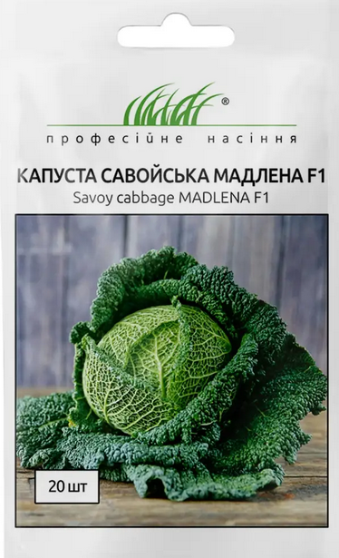 Савойська капуста Мадлена F1