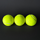 Тенісні м'ячі для собак, Іграшка для собак тенісний м'яч, М'ячики для собак 3 шт Kingbecket (03), фото 8