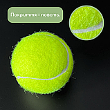 Тенісні м'ячі для собак, Іграшка для собак тенісний м'яч, М'ячики для собак 3 шт Kingbecket (03), фото 5