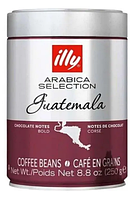 ILLY Monoarabica Guatemala 250g 1/6