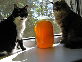 Мед з власної пасіки