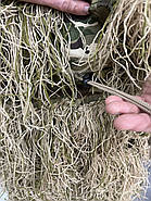 Маскувальний костюм Кікімора (Geely), нитка Койот, розмір L-XL до 80 кг, костюм розвідника, маскхалат кікімора, фото 3