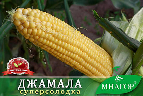 Насіння кукурудзи цукрової Джамала F1 50шт ТМ МНАГОР, фото 1