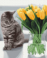 Картина по номерам Brushme Котик с тюльпанами BS52638 40х50см краски кисти холст набор для росписи по цифрам