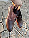 Турецькі коричневі туфлі 40 - 44 розмір, фото 2