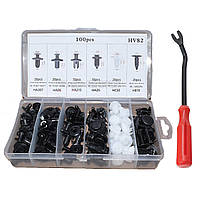 Кріплення пістони автомобільні кліпси 100 штук у кейсі, 6 типорозмірів 100 шт HV82