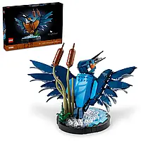 Конструктор Лего Иконс Птица рыбалка Lego Icons Kingfisher bird 10331