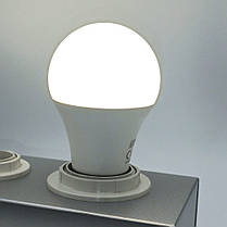 LED лампа Horoz EСвітлодіодна лампа Horoz EXPERT-10 A60 10W E27 4200K dimmableXPERT-10 A60 10W E27 4200K димована 001-021-0010-061, фото 3