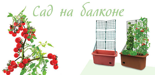 НОВИНКА