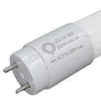 Світлодіодна лампа Biom T8 18W G13 6200K (Скло) T8-GL-1200-18W-СW 1308, фото 4
