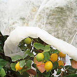 Захисний нетканий матеріал 1,6x20 м, арт. 6560, фото 5