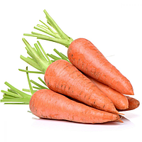 Насіння морква гібридна середньопізьна Болівар (2.0-2.25) 100000нас (Clause)