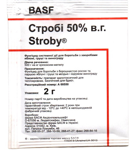 Yangi sex uz Дорселден порно фильмдер