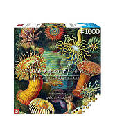 Пазл Imagination: Ernst Haeckel: Sea Anemones/Stworzenia morskie Puzzles 1000 ел.