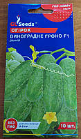 Насіння огірків Виноградне гроно F1 пучковим плодоутворенням