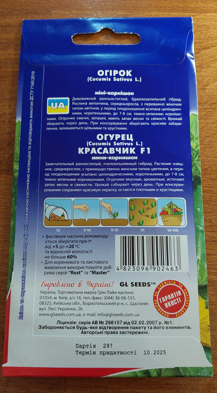 Насіння огірок Красуня F1 жіночим типом цвітіння - фото 2 - id-p378497623