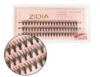 Ресницы пучковые Zidia Cluster lashes 20D C 0,10