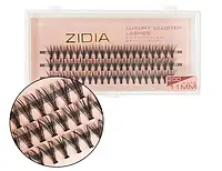 Zidia Cluster lashes 20D C 0,10 (3 ленты, размер 11mm)
