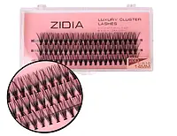 Zidia Cluster lashes 20D C 0,10 (3 ленты, размер 14mm)