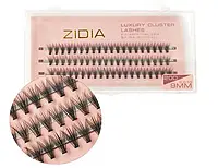 Zidia Cluster lashes 20D C 0,10 (3 ленты, размер 9mm)