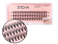 Zidia Cluster lashes 20D C 0,10 Mix (3 ленты,Mix  (9. 10. 11)