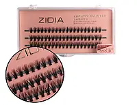 Zidia Cluster lashes 20D C 0,10 3 ленты MIX  (8. 9. 10)