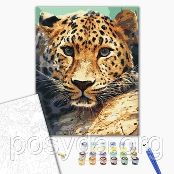 Картина за номерами Портрет леопарда BS51736